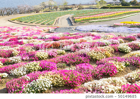 [愛知縣] Sante Garden Flower Festival Sante Park Tahara 50149685