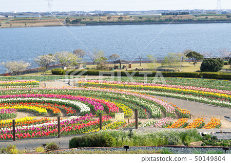 [愛知縣] Sante Garden Flower Festival Sante Park Tahara 50149804