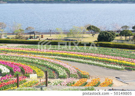 [愛知縣] Sante Garden Flower Festival Sante Park Tahara 50149805