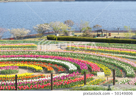 [愛知縣] Sante Garden Flower Festival Sante Park Tahara 50149806