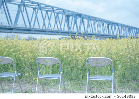 Rape field pipe chair 50149882