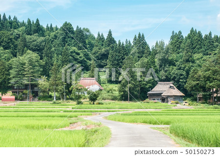 Rural landscape in summer (Ashinoshima ring village) 50150273