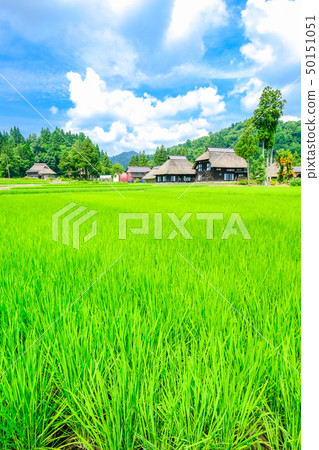 Rural landscape in summer (Ashinoshima ring village) Rural landscape in summer (Ashinoshima ring village) 50151051