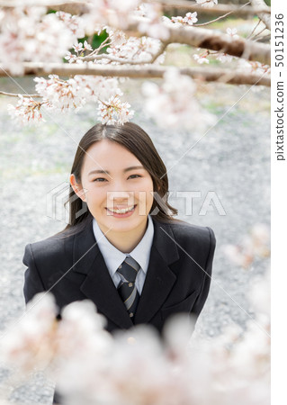 櫻花女孩高中生 櫻花女孩高中生 50151236