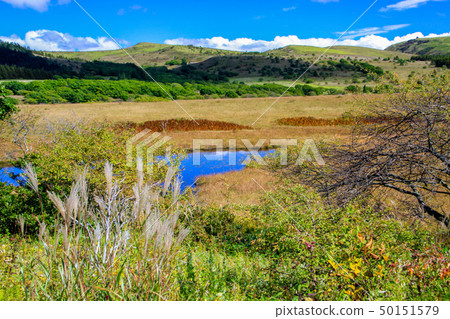 Hachijigahara Marsh Hachijigahara Marsh 50151579