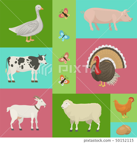 Farm life with animals banner vector illustration. Collection of cute pets. Domestic animals as cow 50152115