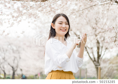 Cherry blossom female smartphone Cherry blossom female smartphone 50153285