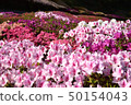 Azalea no Oka 50154043