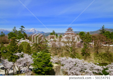 春天的敦賀城（福島縣，會津若松市） 50154791