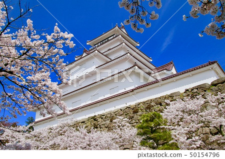Tsuruga Castle in spring (Fukushima Prefecture, Aizu Wakamatsu City) 50154796