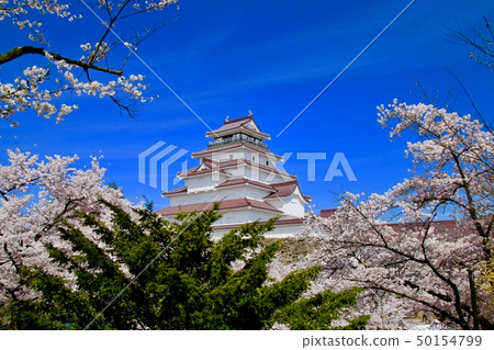 Tsuruga Castle in spring (Fukushima Prefecture, Aizu Wakamatsu City) Tsuruga Castle in spring (Fukushima Prefecture, Aizu Wakamatsu City) 50154799