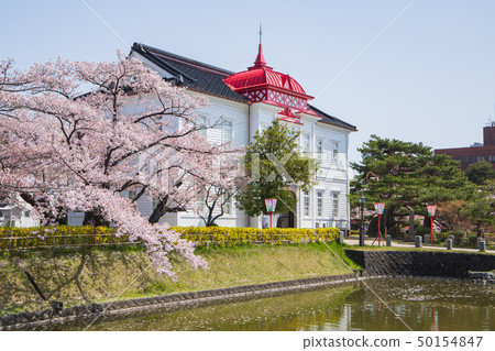 開花鶴岡公園 50154847