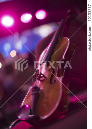 violin at a concert 50155217