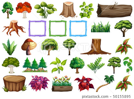 Set of nature element Set of nature element 50155895