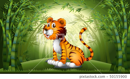 Tiger in the bamboo forest Tiger in the bamboo forest 50155900