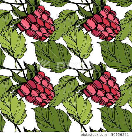 Vector Raspberry healthy food isolated. Red and green engraved ink art. Seamless background pattern. Vector Raspberry healthy food isolated. Red and green engraved ink art. Seamless background pattern. 50156231