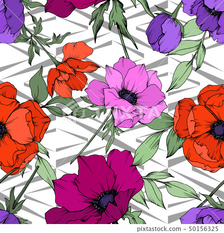 Anemone floral botanical flowers. Black and white engraved ink art. Seamless background pattern. Anemone floral botanical flowers. Black and white engraved ink art. Seamless background pattern. 50156325