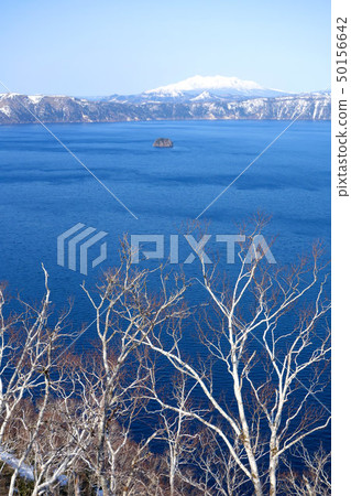 摩卡湖在春天的開始 50156642