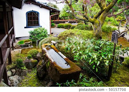 青蓮院 50157708