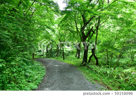 Taishakukyo (Fukuyama City, Hiroshima Prefecture, Tojo Town) 50158096