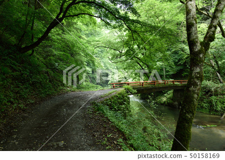 Taishakukyo（福山市，廣島縣，東條鎮） 50158169