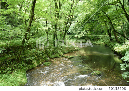 Taishakukyo（福山市，廣島縣，東條鎮） 50158208