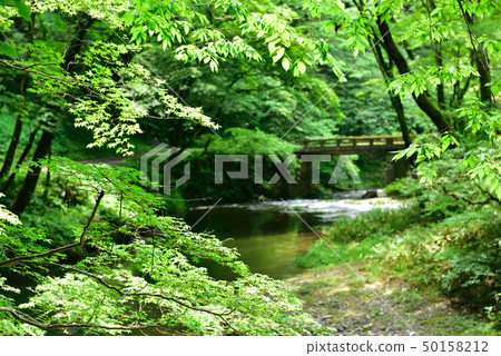 Taishakukyo（福山市，廣島縣，東條鎮） 50158212