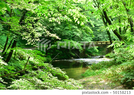 Taishakukyo（福山市，廣島縣，東條鎮） 50158213