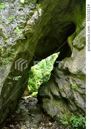 Taishakukyo·Demon's Karamon（福山市，廣島縣，東條鎮） 50158214