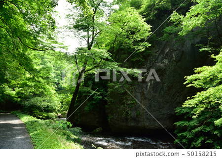 Taishakukyo·Demon's Karamon（福山市，廣島縣，東條鎮） 50158215