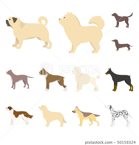 Vector illustration of cute and puppy icon. Collection of cute and animal stock symbol for web. Vector illustration of cute and puppy icon. Collection of cute and animal stock symbol for web. 50158324