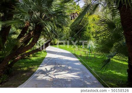 Russia, Sochi, territory of city park Dendrarium, Arboretum . 50158526