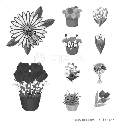 Vector illustration of spring and wreath symbol. Collection of spring and blossom vector icon for 50158527