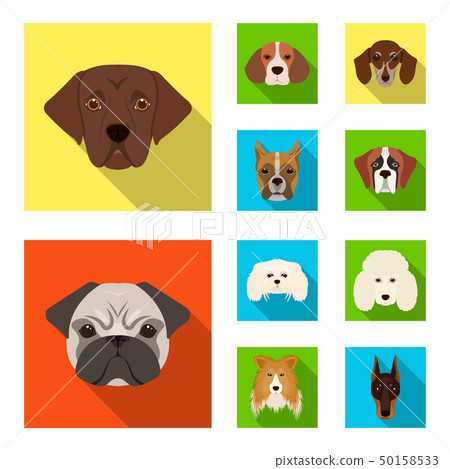 Vector illustration of cute and puppy symbol. Set of cute and animal vector icon for stock. 50158533