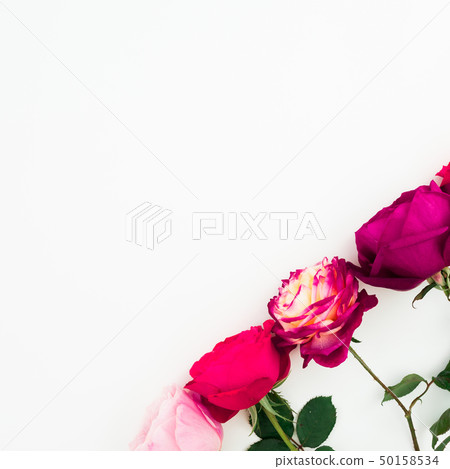Roses flower with leaves on white background. Flat Roses flower with leaves on white background. Flat 50158534