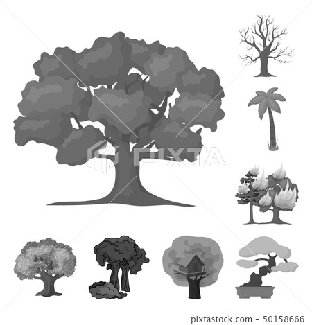 Vector design of tree and forest symbol. Set of tree and green vector icon for stock. Vector design of tree and forest symbol. Set of tree and green vector icon for stock. 50158666