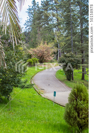 Russia, Sochi, territory of city park Dendrarium, Arboretum . 50158978