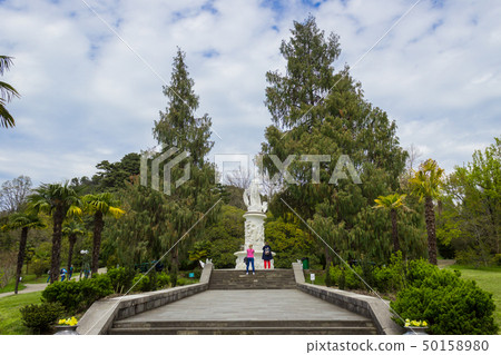 Russia, Sochi, territory of city park Dendrarium, Arboretum . Russia, Sochi, territory of city park Dendrarium, Arboretum . 50158980