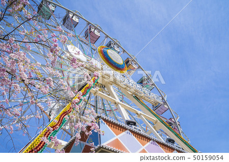 櫻花和遊樂園031 櫻花和遊樂園031 50159054