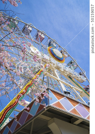 櫻花和遊樂園034 50159057