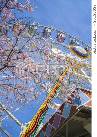櫻花和遊樂園035 櫻花和遊樂園035 50159058