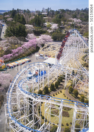 櫻花和遊樂園041 櫻花和遊樂園041 50159064