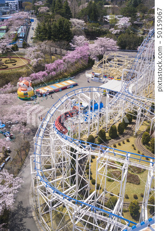 櫻花和遊樂園044 櫻花和遊樂園044 50159067