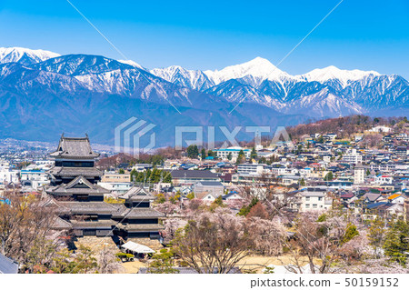 從松本市觀察台觀察的松本城和市區[長野縣] 50159152