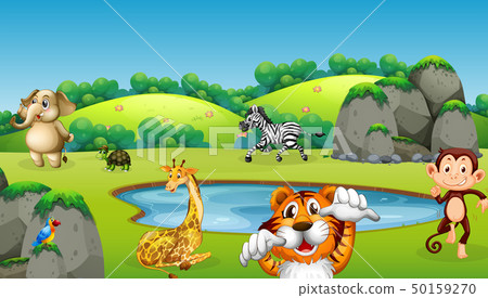 Wild animal in nature Wild animal in nature 50159270