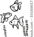 金魚的插圖 50160657