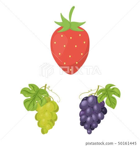 Isolated object of berry and fruit logo. Set of berry and redberry vector icon for stock. Isolated object of berry and fruit logo. Set of berry and redberry vector icon for stock. 50161445