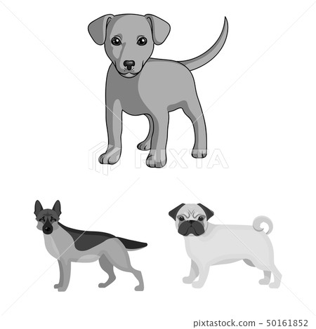 Vector illustration of animal and habitat symbol. Set of animal and farm stock symbol for web. Vector illustration of animal and habitat symbol. Set of animal and farm stock symbol for web. 50161852