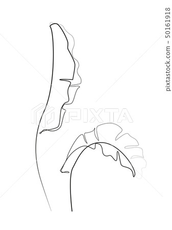 One line drawing. Contour drawing of Banana leaves One line drawing. Contour drawing of Banana leaves 50161918
