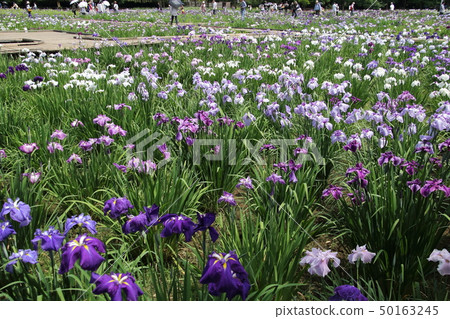 Kitayama Park Gion 50163245